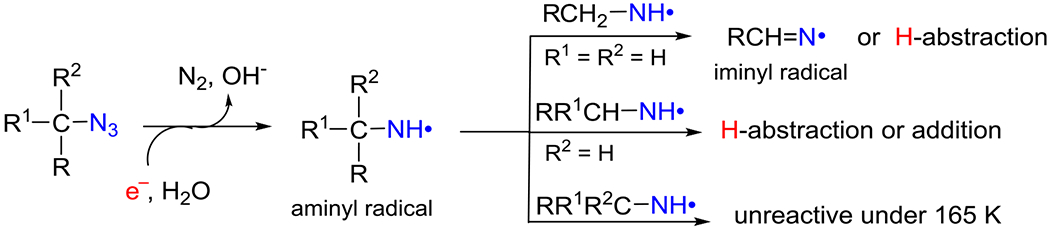 Scheme 6.