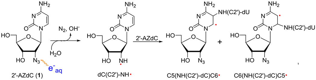 Scheme 5.