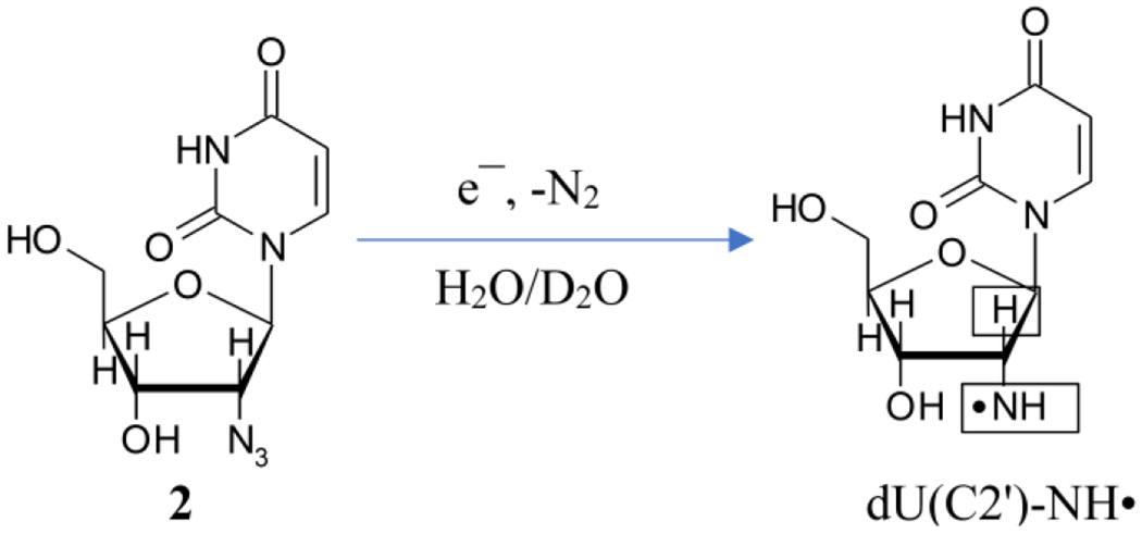 Scheme 3.