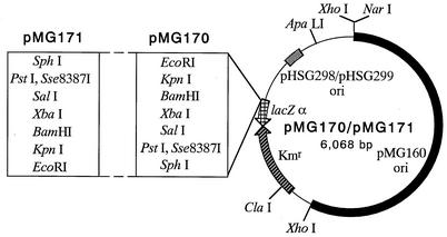 FIG. 5.