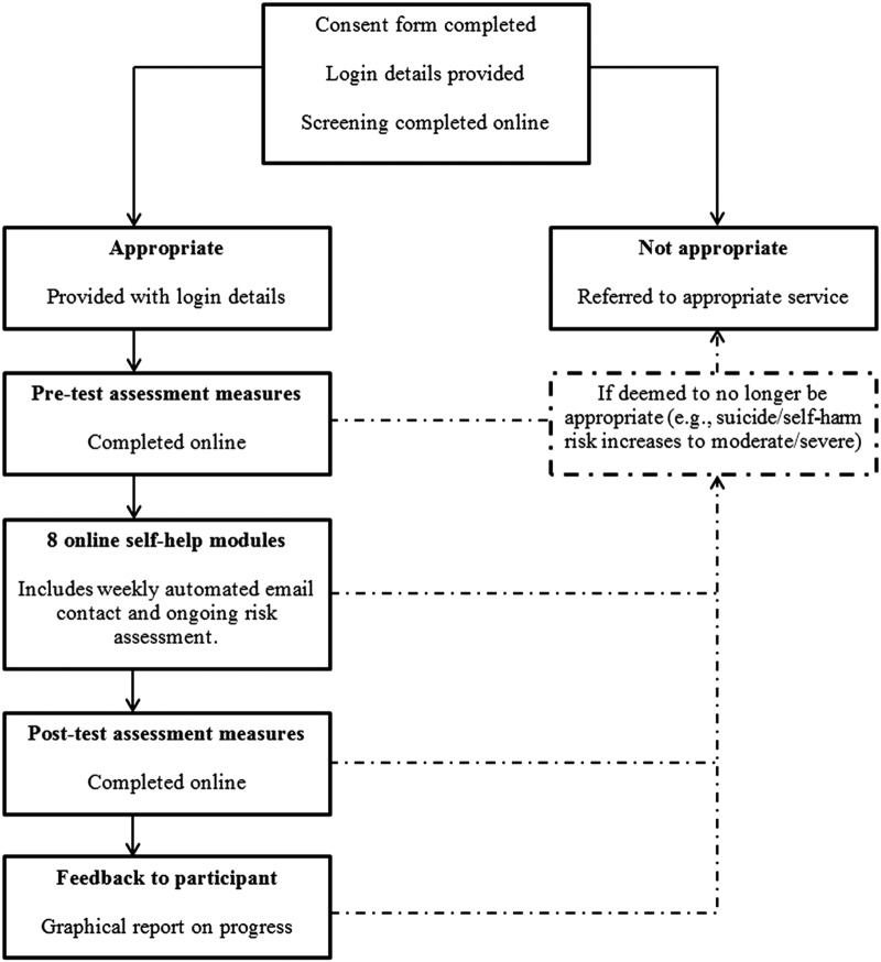 Figure 1