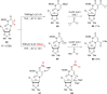 Scheme 9
