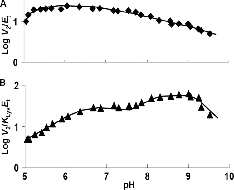 FIGURE 8.