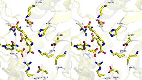 FIGURE 1.