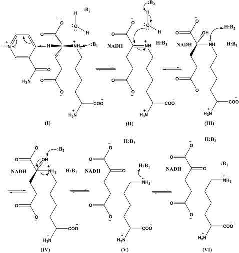 SCHEME 3.