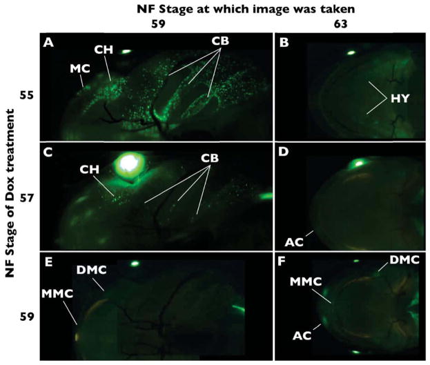 Figure 6