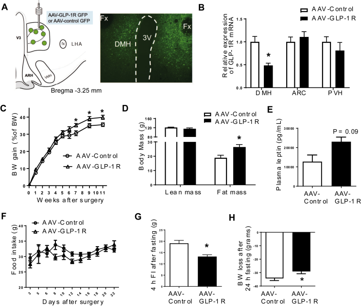 Figure 2