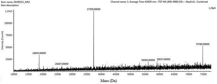 FIGURE 7