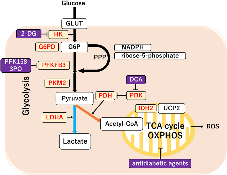 Figure 2