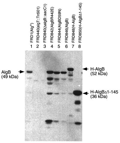 FIG. 6