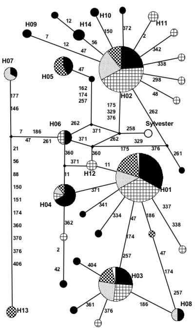 FIG. 3