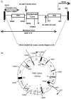 FIG. 1