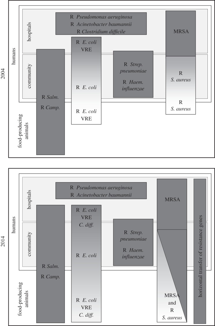 Figure 1.