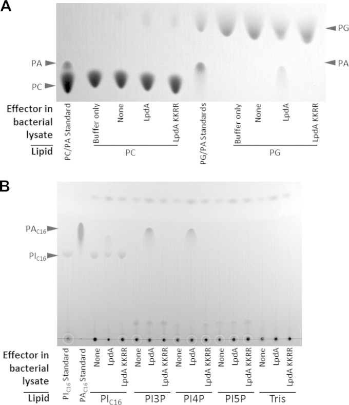 FIG 5