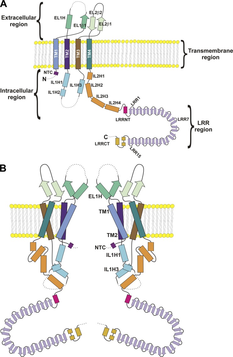 Figure 7.