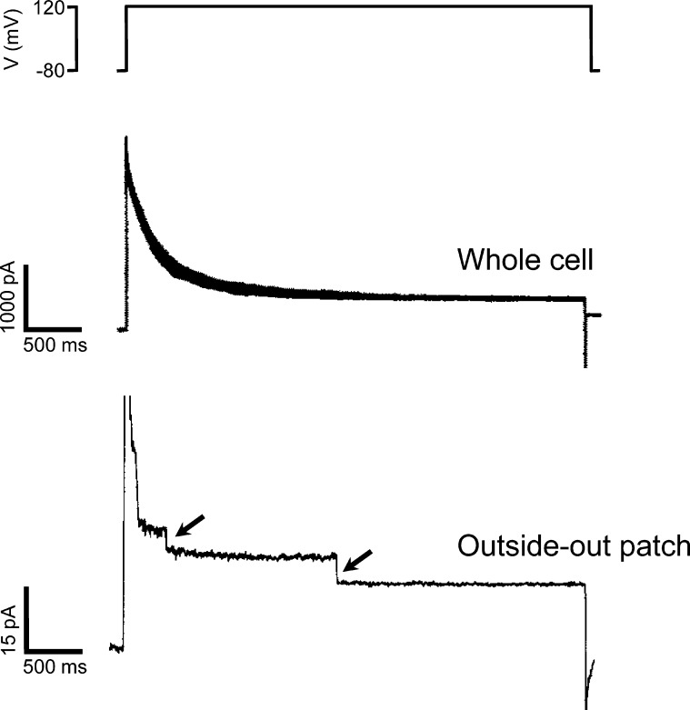 Figure 2.