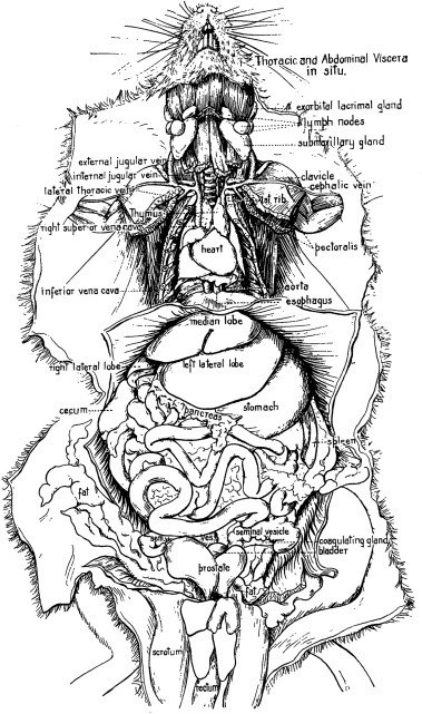 Figure 4.2