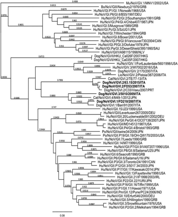 Fig. 2