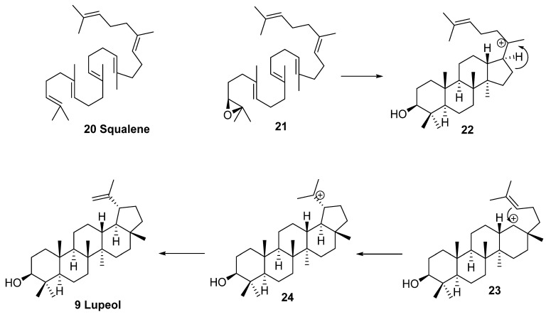 Scheme 6