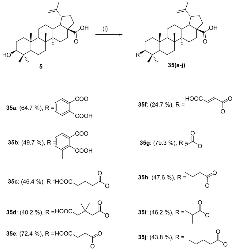 Scheme 10