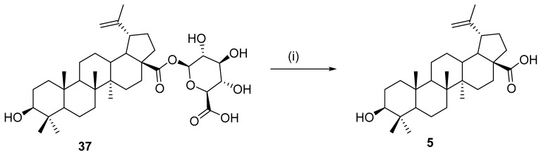 Scheme 13