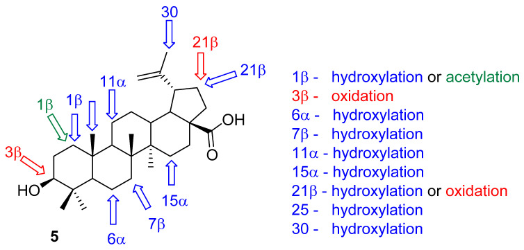 Figure 5