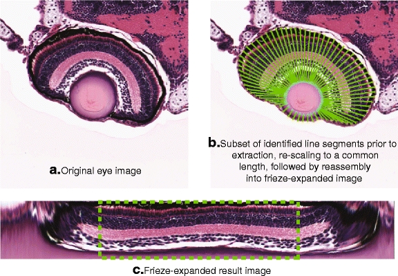 Fig. 9