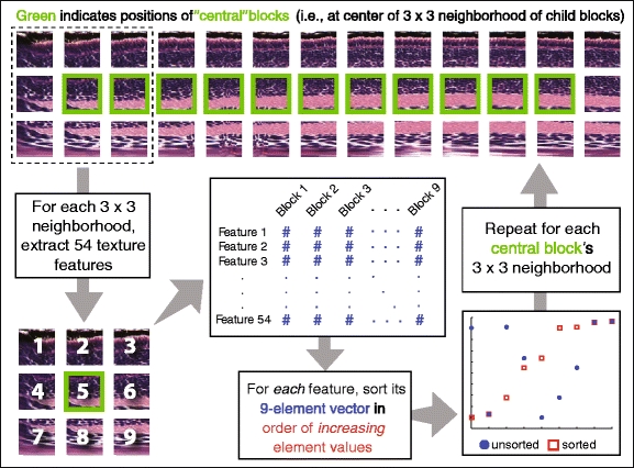 Fig. 14