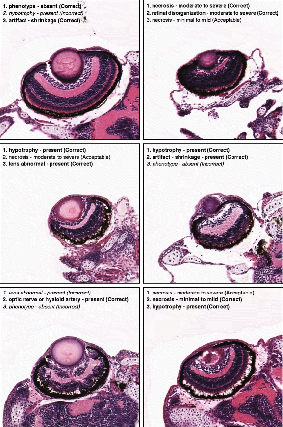 Fig. 18