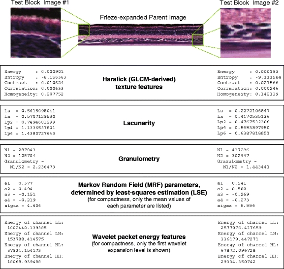 Fig. 13