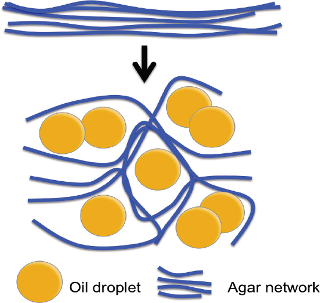 Fig. 17