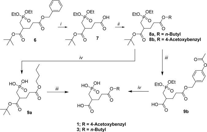 Scheme 1