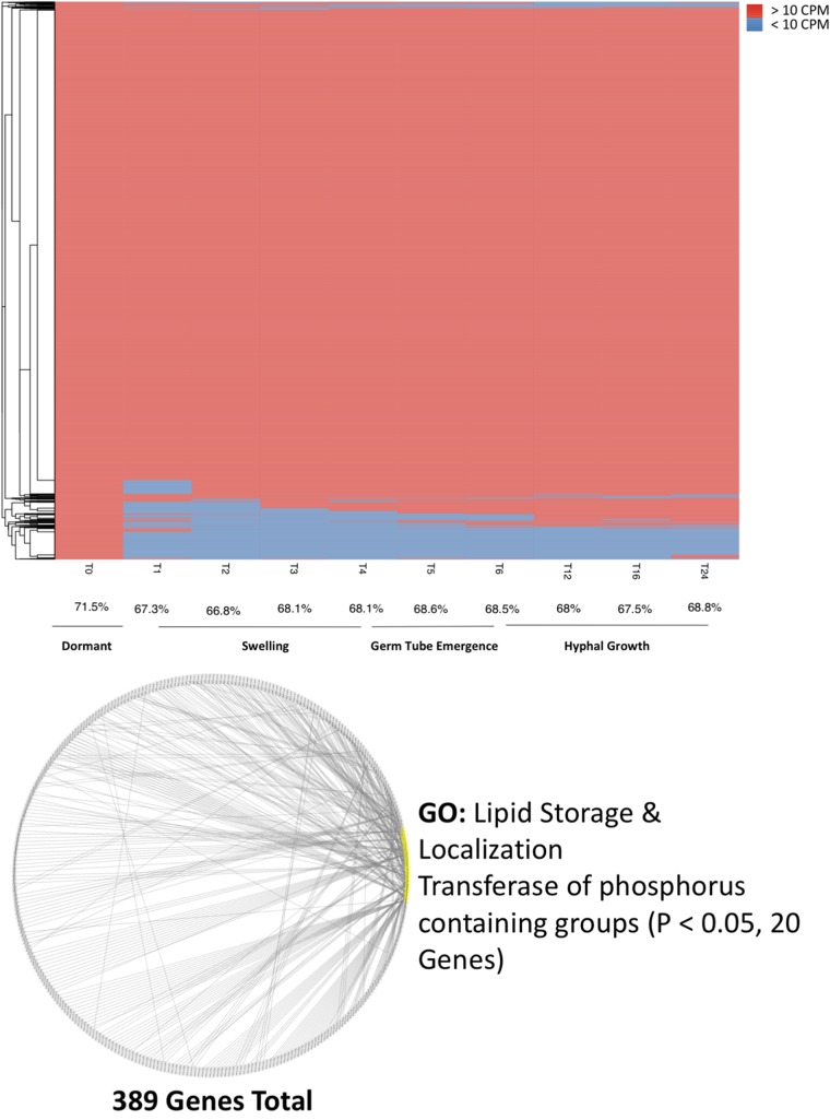 FIG 3