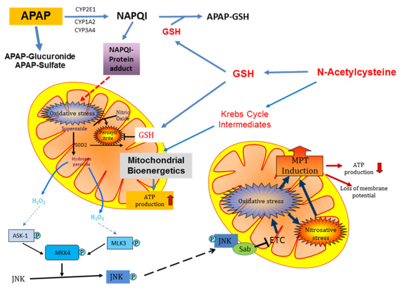 Fig. (3)