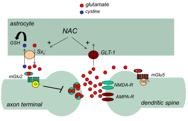 Fig. (4)