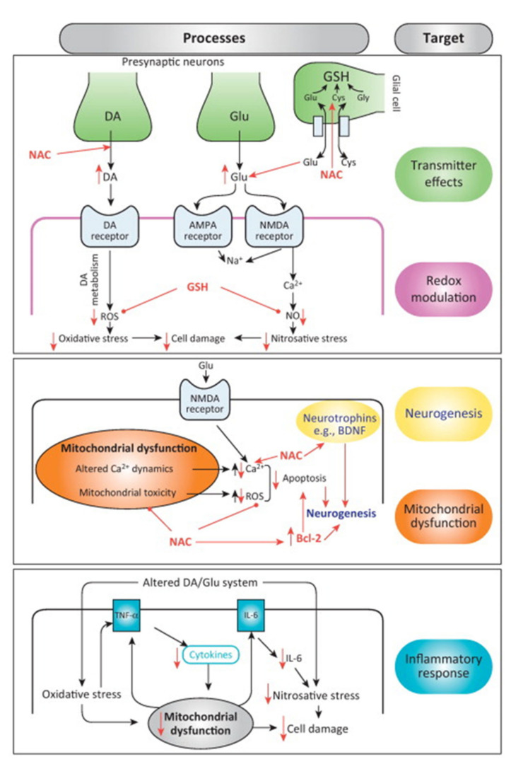 Fig. (2)