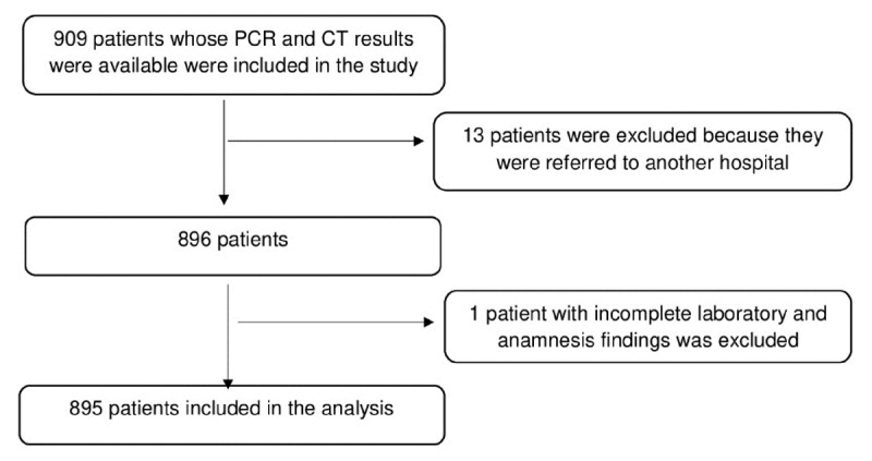 The flow diagram of patients included in the analysis