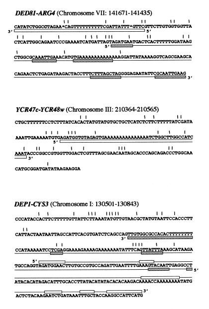 graphic file with name kvd04705.jpg