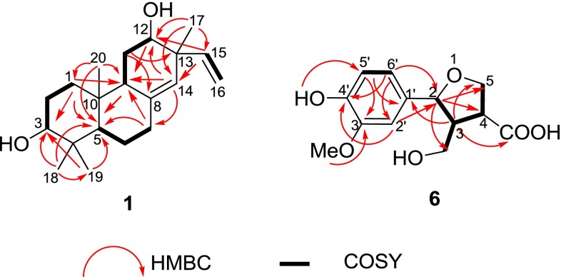 Fig. 2