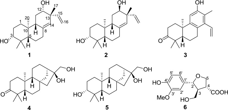 Fig. 1