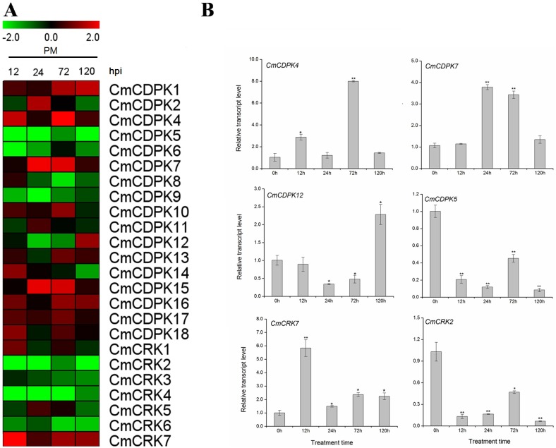 Fig 6