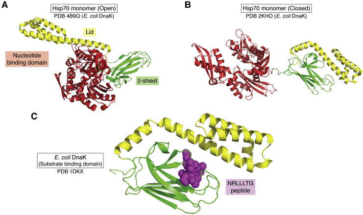 Figure 3