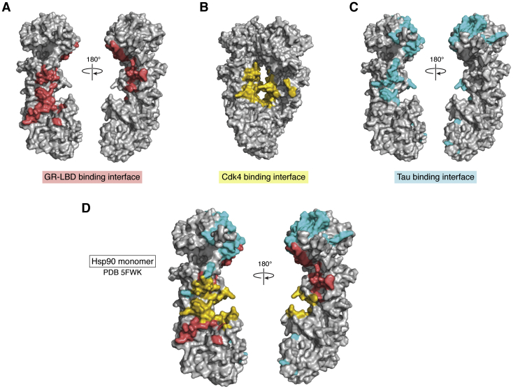 Figure 2