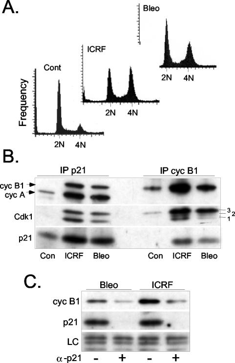 Figure 2.