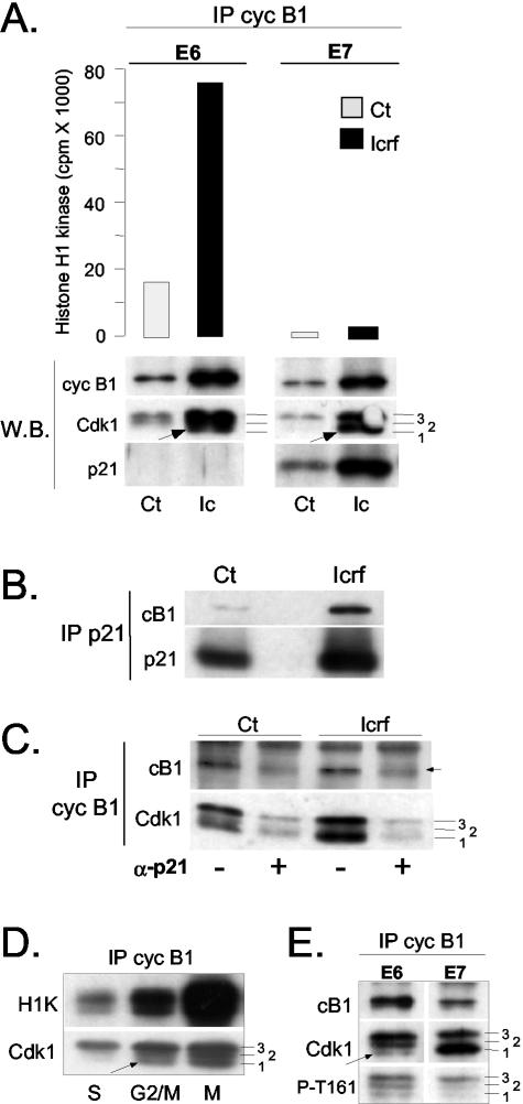 Figure 6.