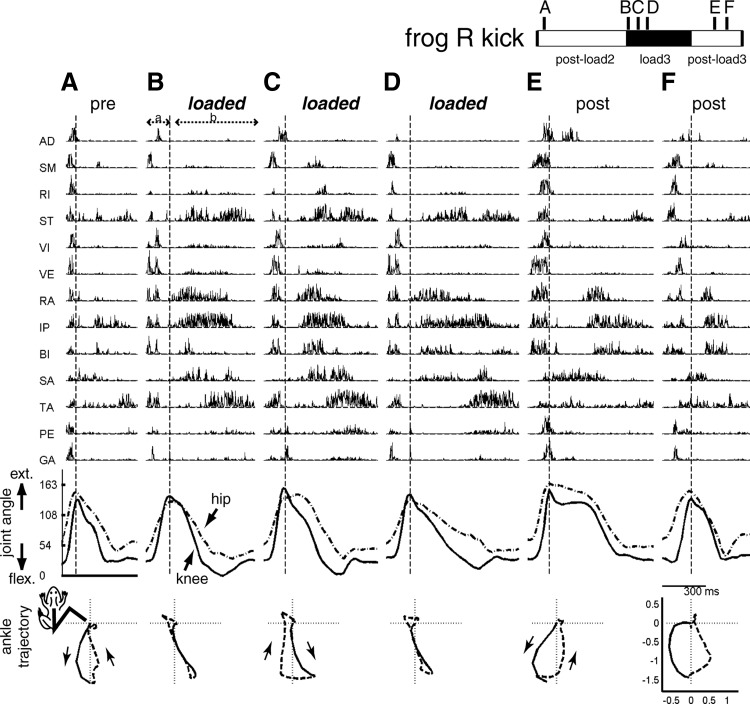 FIG. 5.