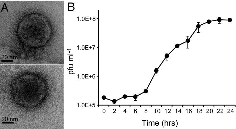 Fig. 1.