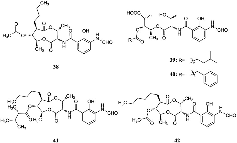 Figure 13