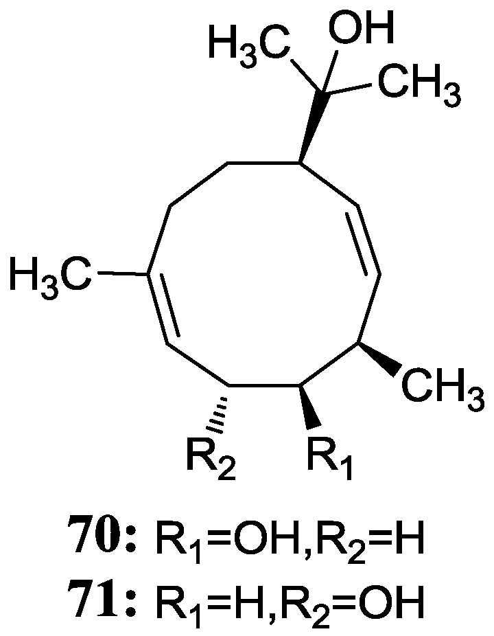 Figure 20