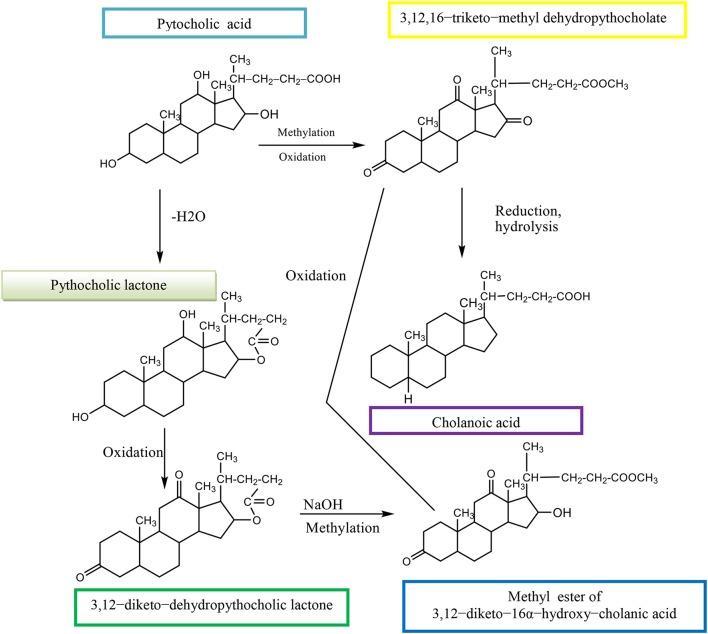 Scheme 13